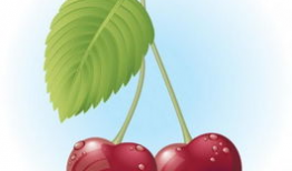 樱桃动漫,描绘青春梦想的彩色画卷