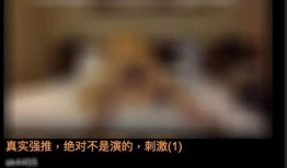 黄色视频看,警示与反思